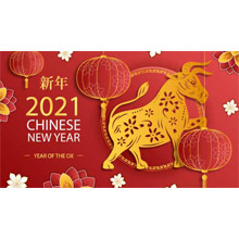 Docod Precision Group Wishes you a Happy Chinese New Year!